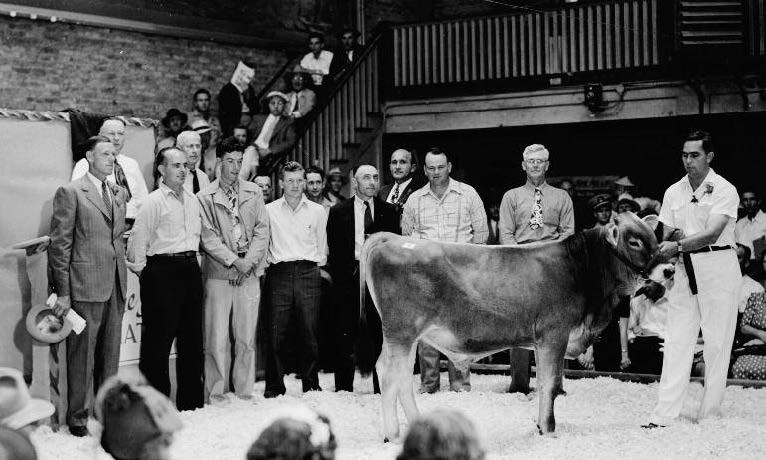 OrbecSherry at 1945 Jane of Vernon Sale-The Laird of Lee's Hill in ring