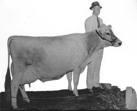 Orbec & Jane ready to enter show ring