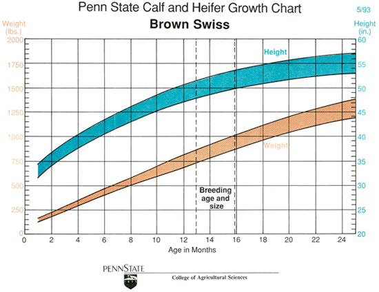 Calf Weight Gain Chart