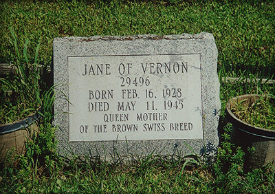 Jane's Grave Marker